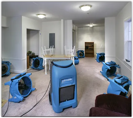 Water Damage Restoration services in Bear Valley Springs, CA