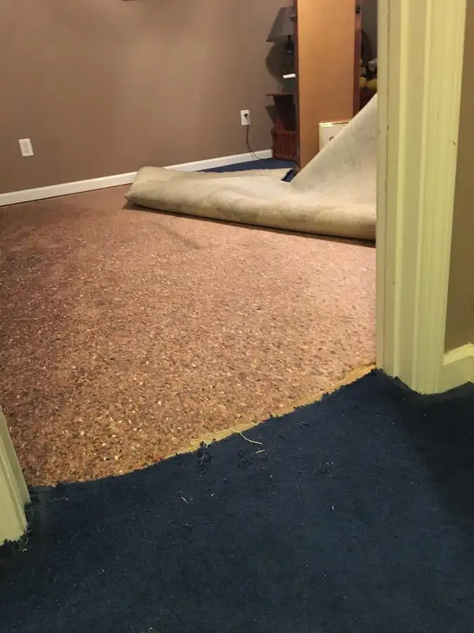 Carpet pad removal revealing water damage during Water Mitigation Services in Bear Valley Springs