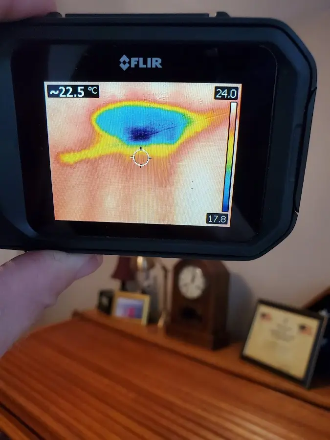 Thermal imaging inspection for water damage in Bear Valley Springs